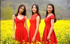 日本口工无翼彩全彩漫画更新时间